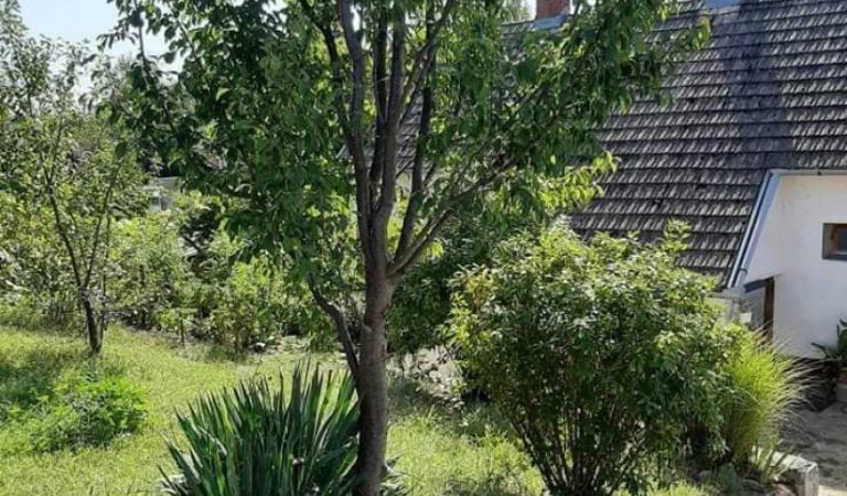 Családi ház Barcson – 3. ingatlanfotó