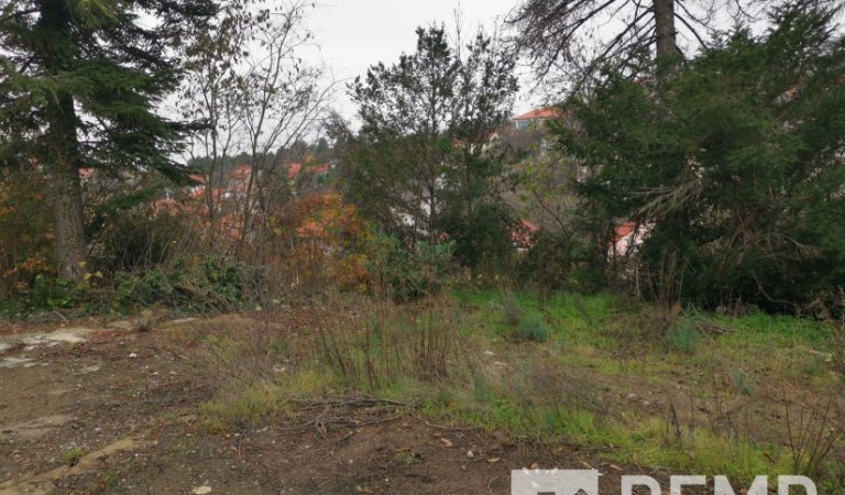 Pécsi Extra lokációs építési telek – 3. property photo