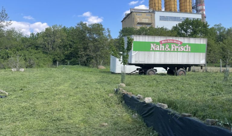 Pécs határában telek eladó – 2. ingatlanfotó