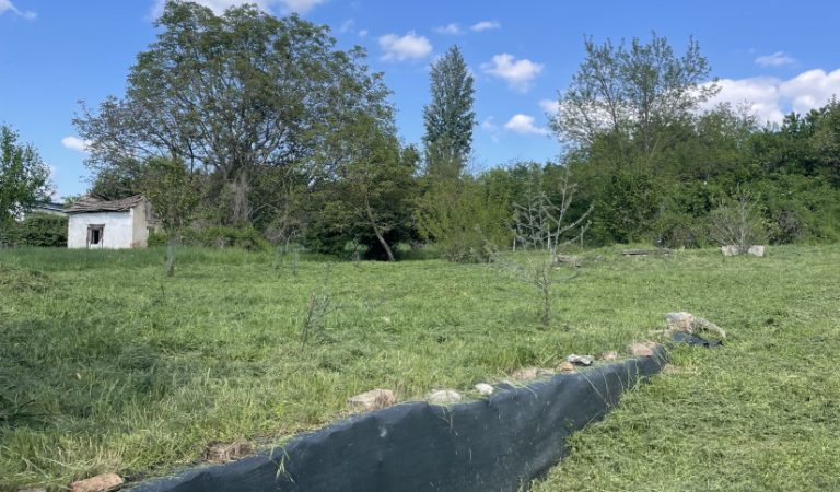 Pécs határában telek eladó – 3. ingatlanfotó