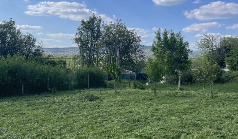 Pécs határában telek eladó – ingatlanfotó