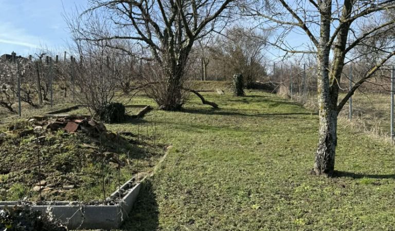 Pellérdi zártkerti eladó ingatlan – 3. ingatlanfotó