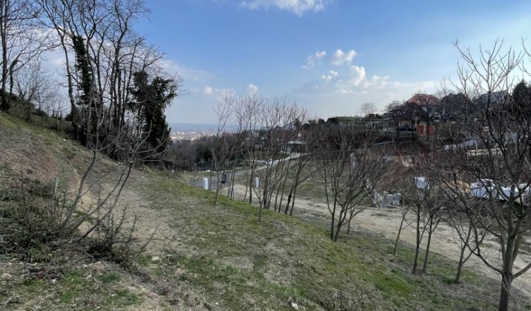Panorámás építési telek eladó a Mecsekoldalon – kiváló adottságokkal – 1. ingatlanfotó