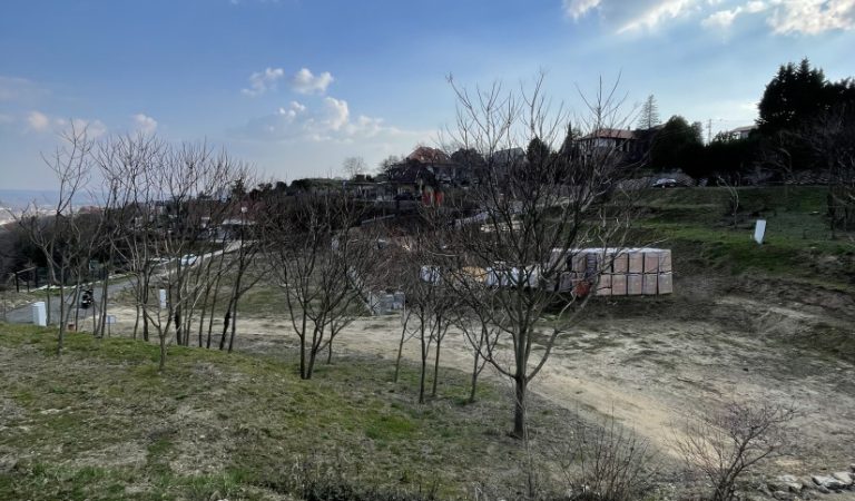 Panorámás építési telek eladó a Mecsekoldalon – kiváló adottságokkal – 2. ingatlanfotó