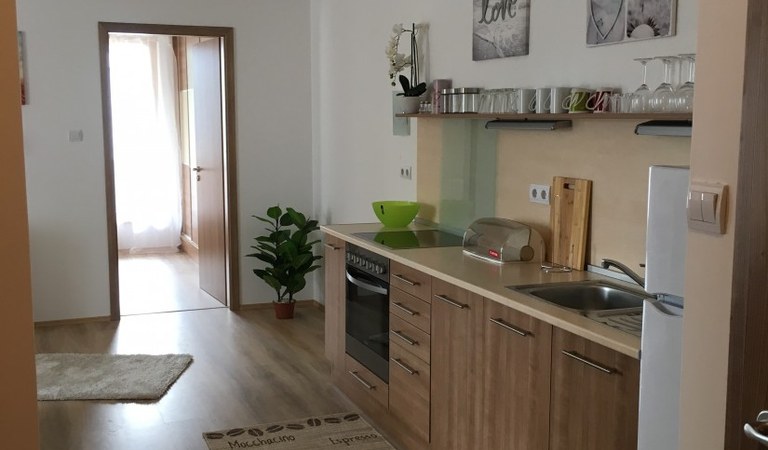 1 bedroom brand new flat for rent in Mecsek close to the down town and the university area – 2. ingatlanfotó