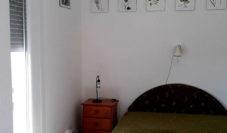 Flat for rent next to the Medical University – 3. property photo