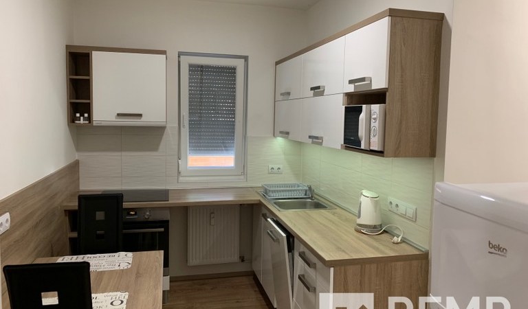 One bedroom flat for rent in Pollack Mihaly Street. – 1. property photo