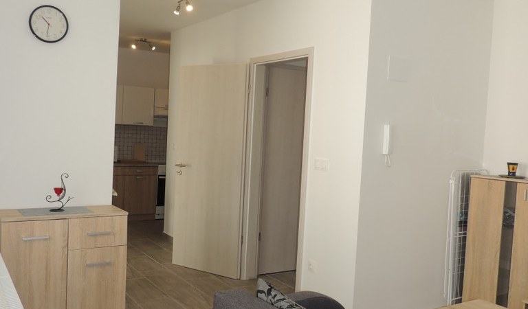Új építésű, 2 hálós, erkélyes lakás kiadó! – 3. ingatlanfotó
