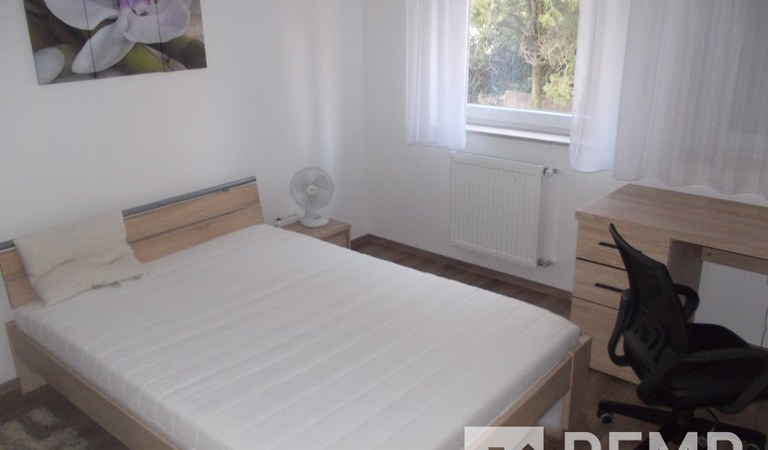 Kiadó 1 hálószobás lakás a Lotz Károly utcában – 3. property photo