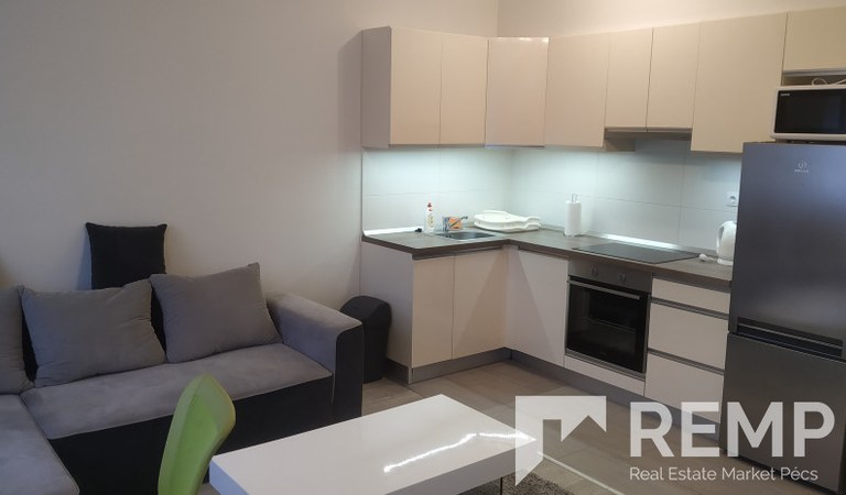 1 bedroom 1th floor flat for rent in Lotz Károly street! – 1. property photo