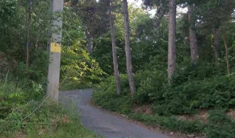 Pécsett a Mecsek egyik legszebb részen eladó az utolsó panorámás telek! – 3. ingatlanfotó