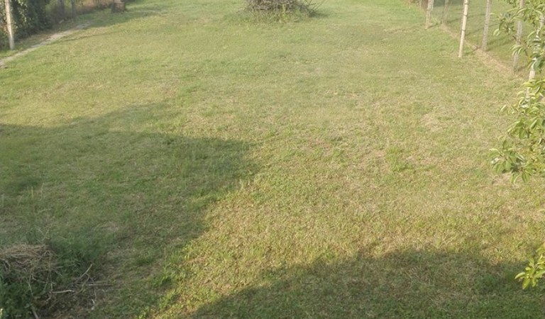 Pécsett, gyönyörű mecseki panorámás,  sík építési telek eladó! – 2. ingatlanfotó
