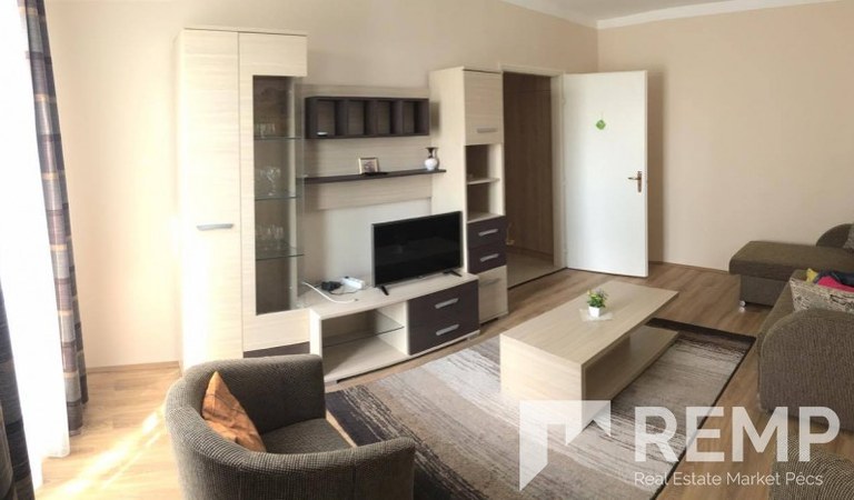 Kiadó teljesen felújított lakás a belváros és egyetemváros között – 1. property photo