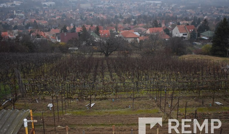 Pécsett a Bagolyvár szomszédságában, festői, örök panorámás családi ház eladó – 3. ingatlanfotó