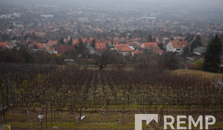Pécsett a Bagolyvár szomszédságában, festői, örök panorámás családi ház eladó – 2. ingatlanfotó