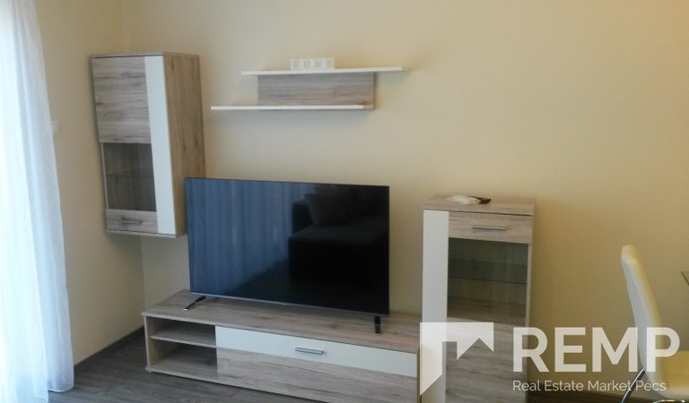 Kiadó lakás a POTE mellett! – 3. ingatlanfotó