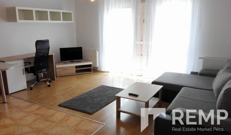Kiadó 1 hálós lakás a POTE mellett – 2. property photo