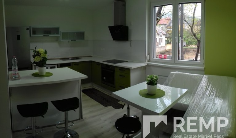 Kiadó az Orvosi egyetemtől 200 méterre egy gyönyörű újépítésű luxuslakás – 1. property photo