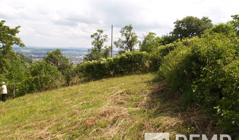 Eladó panorámás mecseki telek – 1. ingatlanfotó