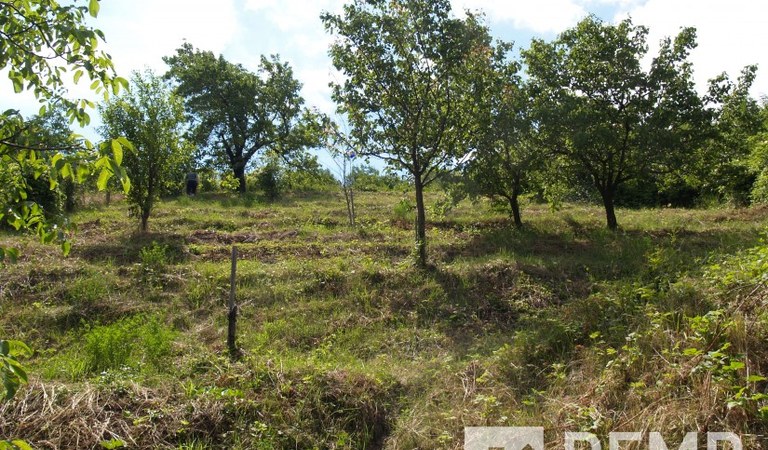 Eladó panorámás mecseki telek – 3. ingatlanfotó