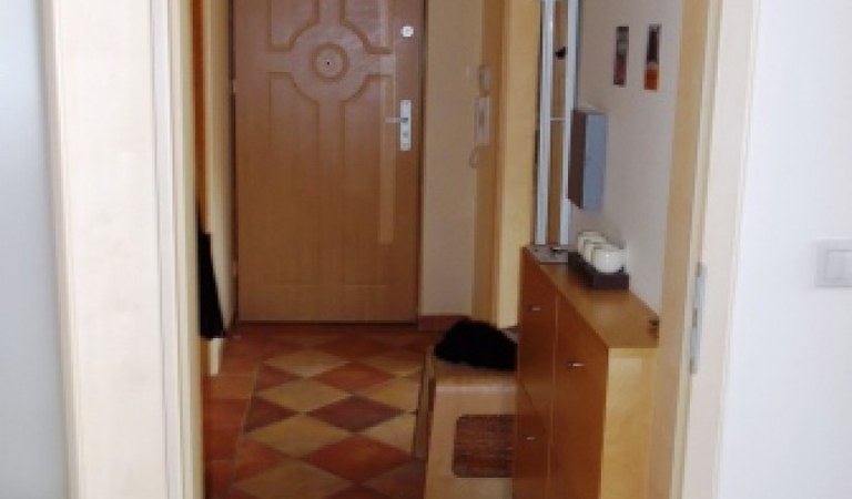 Belváros szívében eladó 3 hálós lakás – 3. ingatlanfotó