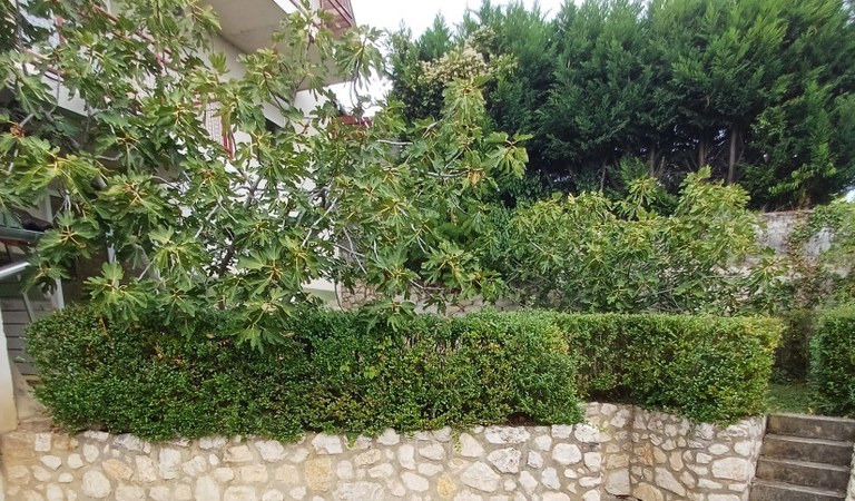 Eladó  160m2-es kertkapcsolatos  Mecsekoldali lakás a  Szőlő utcában – 3. ingatlanfotó