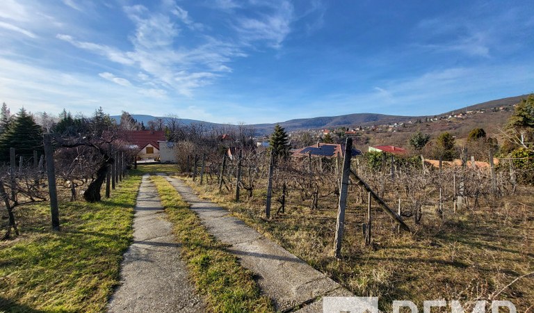 Donátusi Telek – 2. ingatlanfotó