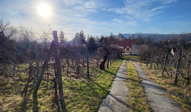 Donátusi Telek – 1. ingatlanfotó