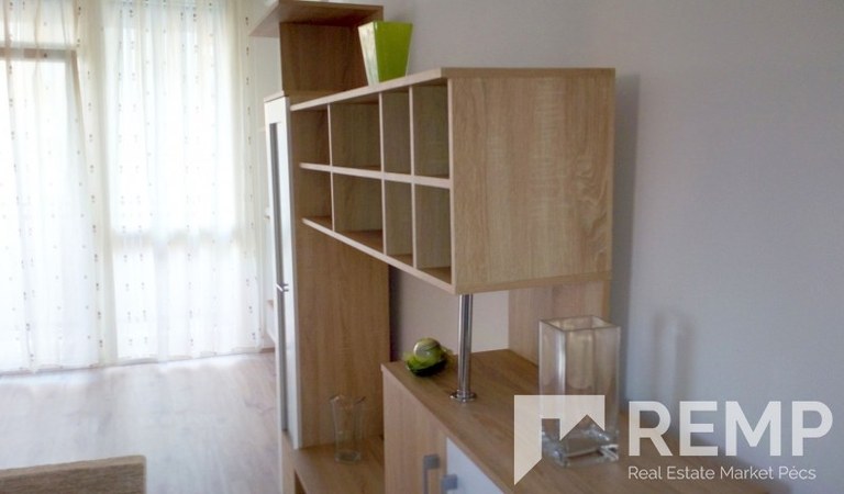 Kiadó lakás a POTE -tól 100 méterre – 2. property photo