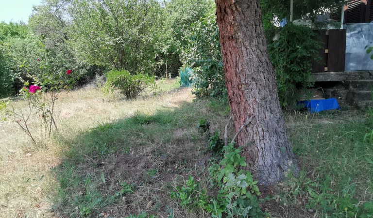 Zártkerti ingatlan – 3. ingatlanfotó