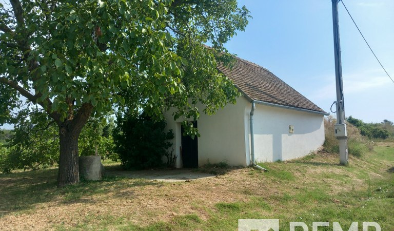 Bodai szőlőhegyen pince – 1. ingatlanfotó