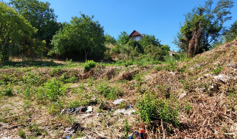Telek Wass Albert u. – 3. ingatlanfotó