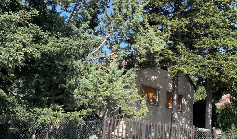 Family house for sale in the green belt of Pécs, on the edge of Tettye – 2. property photo