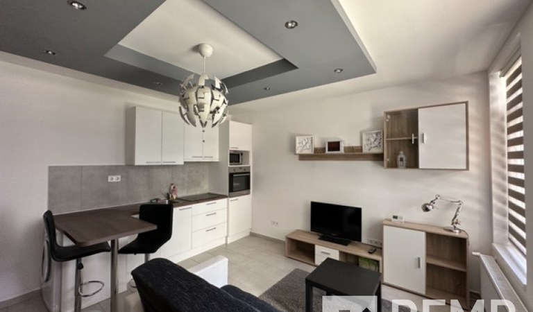 Great brick apartment in the historic Downtown – 1. property photo