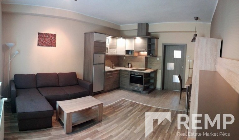 Renovated flat for rent near to POTE – 1. ingatlanfotó