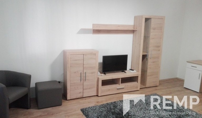 Kiadó felújított 1 hálószobás lakás – 3. ingatlanfotó