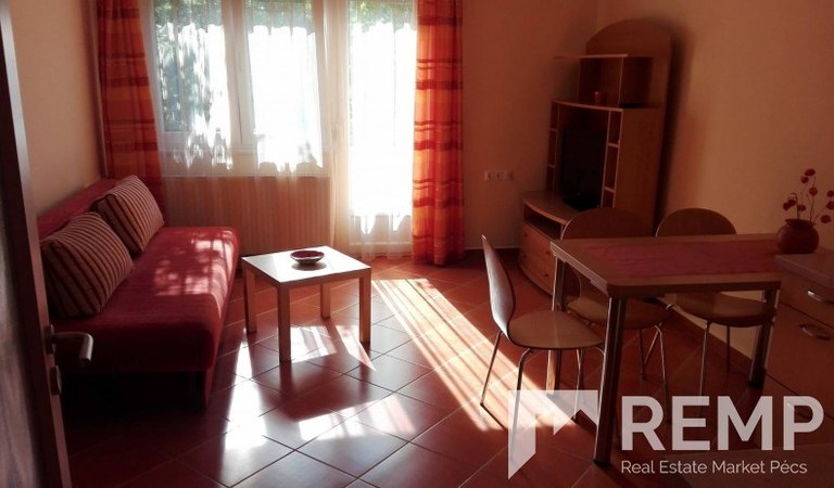 Kiadó 3 szobás belvárosi igényes lakás – 3. property photo