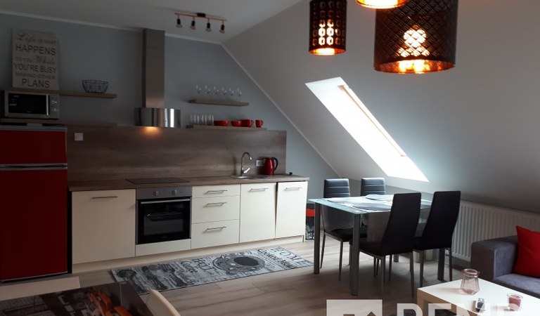Exclusive 1 bedroom flat for rent close to the University – 2. property photo
