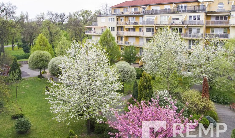 Igényes lakás a 10. kerületben – 2. ingatlanfotó