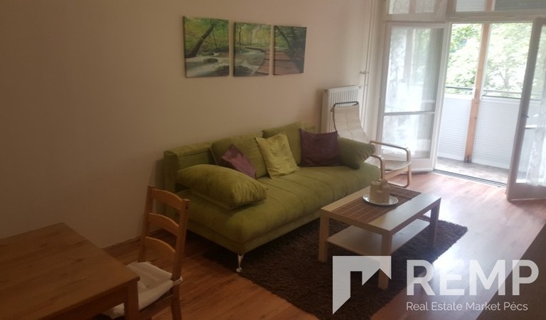 Flat for rent next to the university – 2. property photo