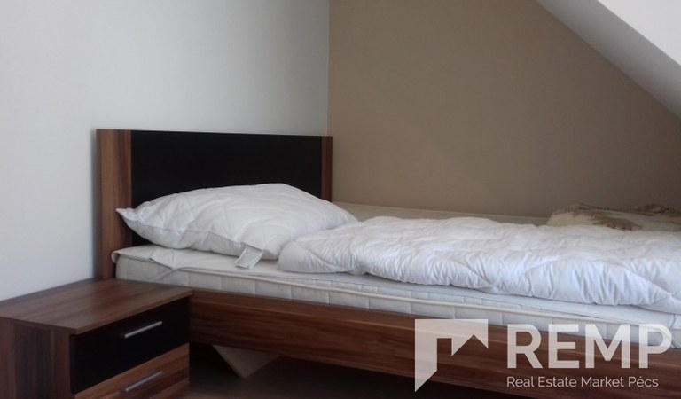 One bedroom flat for rent in Szigeti street – 3. property photo
