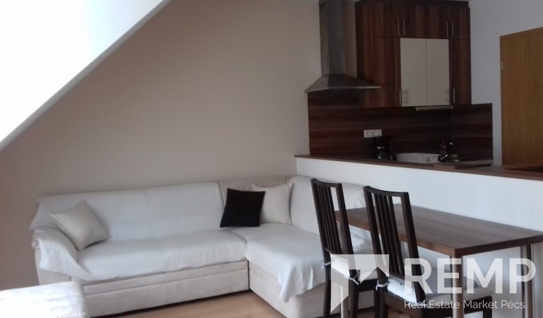 One bedroom flat for rent in Szigeti street – 1. property photo