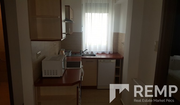 One bedroom flat for rent in Lotz Károly street – 3. property photo