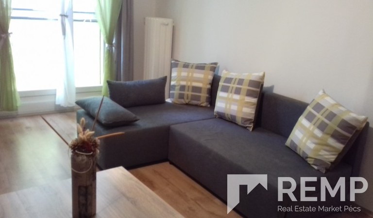 1 bedroom flat for rent close to the Medical Uni – 1. ingatlanfotó